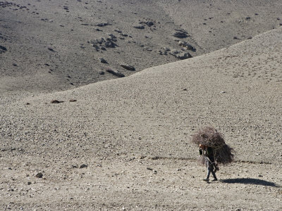 Woman Carrying Firewood, Asia