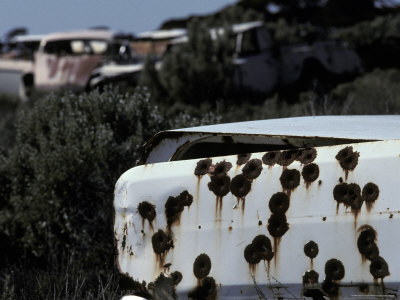 Abandoned Car Wreck with Rusting Bullet Holes Used as a Target, Australia