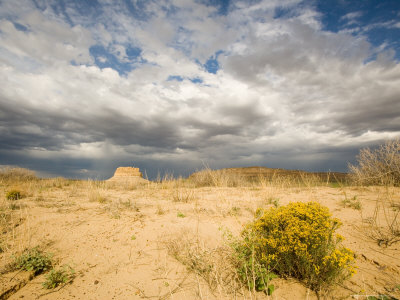 Buy Desert Blooms and Fajada Butte at Sunset, New Mexico at AllPosters.com