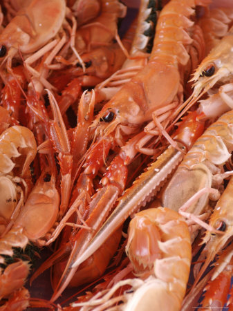 Norway, Bergen, Fish and Crustaceans, Full Frame