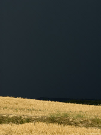 Buy Field of Grain is Lit by the Sun against an Almost-Black Storm Sky, France at AllPosters.com