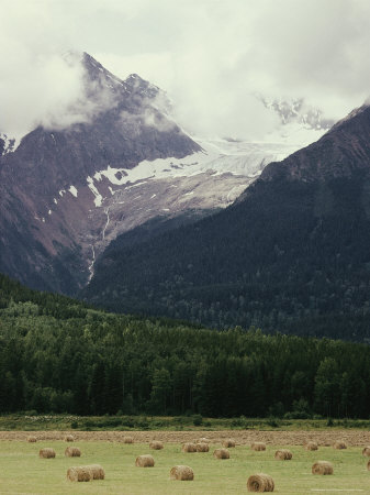 Buy Glacier Descending from Clouded Mountains Contrasts with a Field Dotted with Rolls of Hay at AllPosters.com