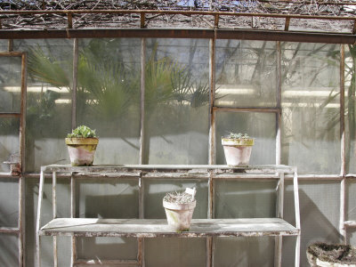 Buy Potted Plants on Outdoor Shelves Outside a Flower Nursery, Parma, Italy at AllPosters.com