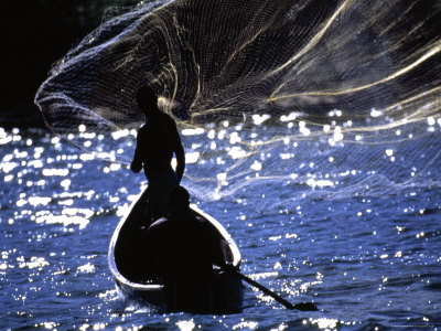 Buy Traditional Fishermen Throw their Net on Lake Victoria at AllPosters.com