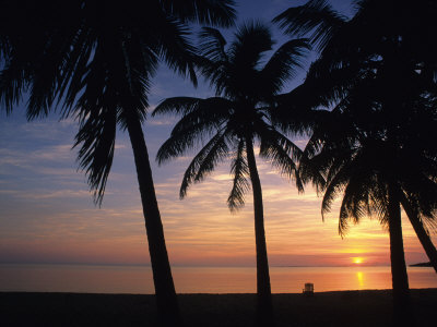 Buy Sun Rise near Placencia, Belize at AllPosters.com