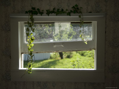 The View from an Old Window at the Fenton Farm, Greenleaf, Kansas