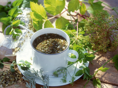 Herb Tea with Various Fresh Herbs