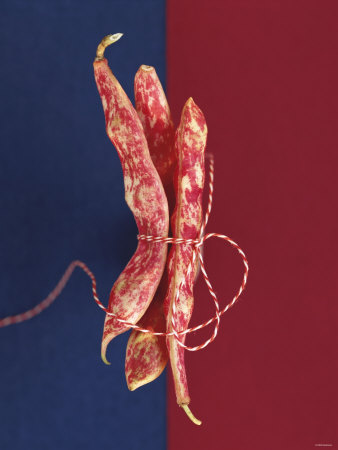 Three Borlotti Beans Tied Together with String