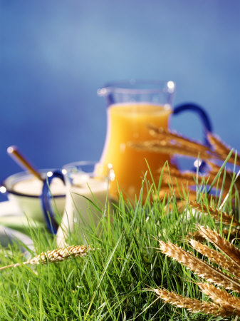 Healthy Ingredients (Quark, Milk, Juice, Cereals) on Grass