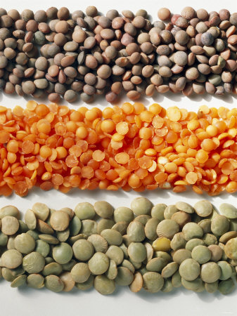 Green, Red and Brown Lentils (Lens Culinaris)