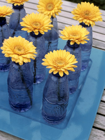 Yellow Gerberas in Blue Bottles