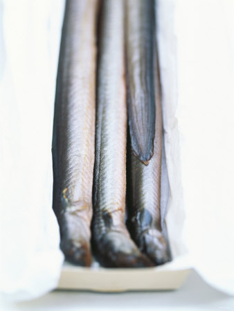 Four Smoked Eels in a Box