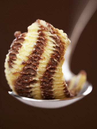 Chocolate and Vanilla Ice Cream on a Spoon