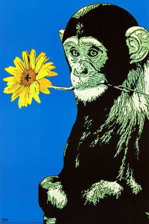 Buy Monkey With Flower at AllPosters.com