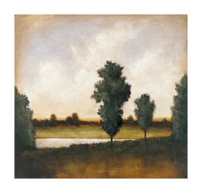 Evening Light