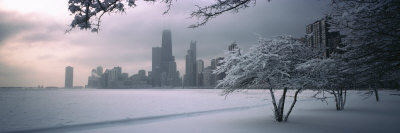 Snow Covered Tree at North Avenue Beach, Chicago, Illinois, USA