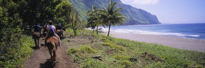Men Riding Mules, Pacific Ocean, Kalaupapa, Molokai, Hawaii, USA