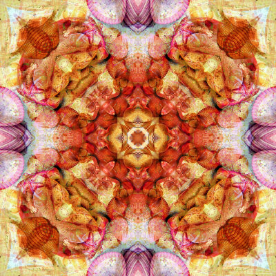 Colseaworld Mandala, no. 3