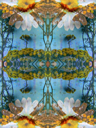 Couleur Royale de la Mandala, no. 2