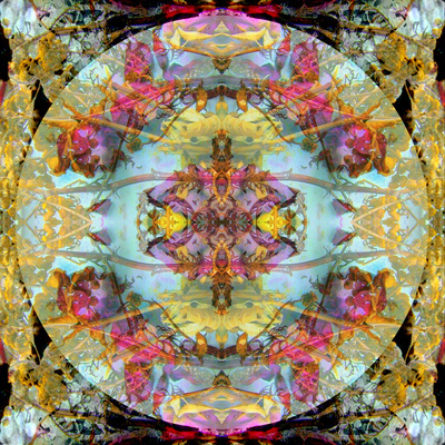 Couleur Royale de la Mandala, no. 1