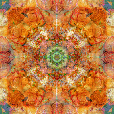 Colseaworld Mandala, no. 1 Photographic Print