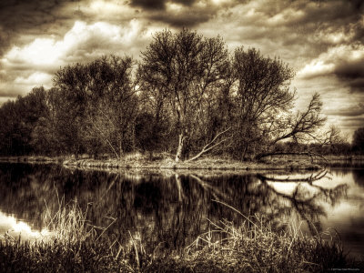 ‘Spring’ by Stephen Arens