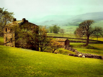 In the Yorkshire Dales