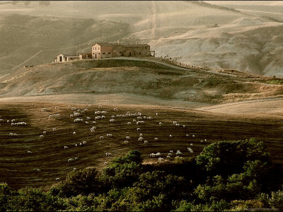 Late Afternoon in Tuscany