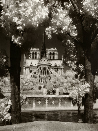Notre Dame, Paris, France