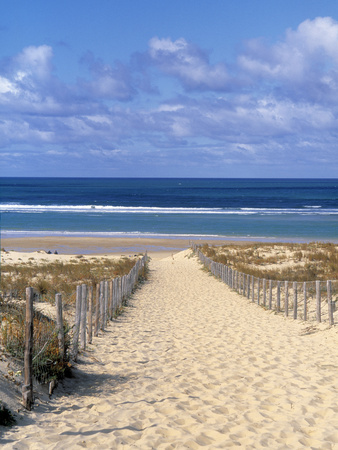 Cape Ferret, Basin d