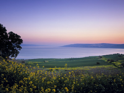 Buy Sea of Galilee, Israel at AllPosters.com