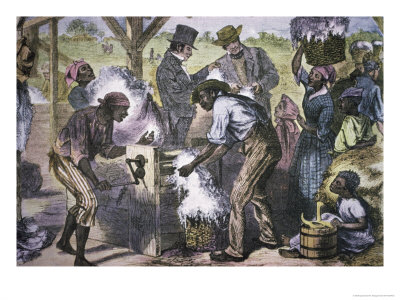 The First Cotton Gin