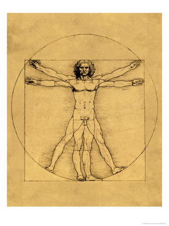 Buy Proportions of the Human Figure at AllPosters.com