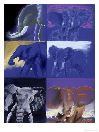 Elephants