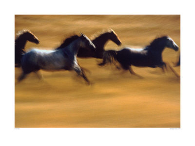 Buy Galloping Horses at AllPosters.com