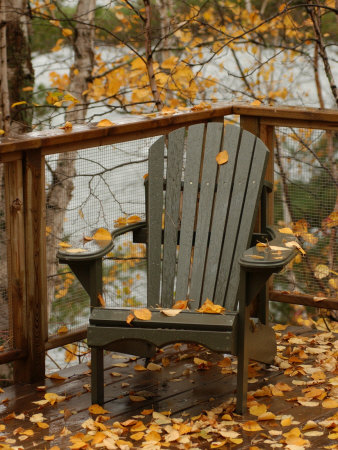 Autumn Leaves on Chair by Lake, Ontario, Canada