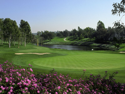 Golf Course and Lake Poster