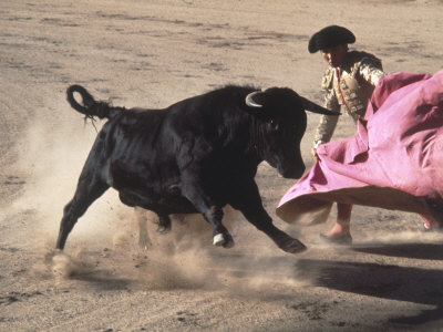 Matador with Pink Cape and Bull, Mexico