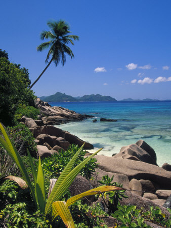 Tropical Beach, La Digue Island, Seychelles
