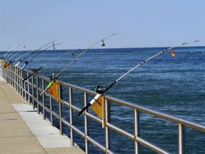 Fishing Poles Along St. Clair River, Port Huron, MI