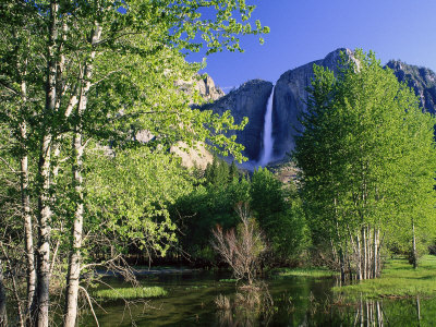 Yosemite Falls, Spring Time, CA