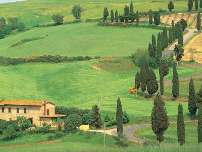 Curvy Tuscan Road, Tuscany, Italy