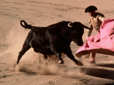Bullfight Action, Mexico City, Mexico