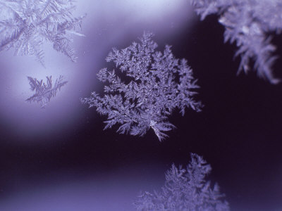 Snowflakes on Window