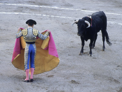 Bullfight, Aguascalientes, Mexico
