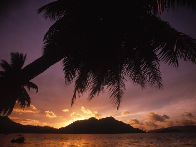 Tropical Beach at Sunset, the Seychelles