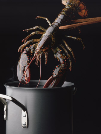 Lobster