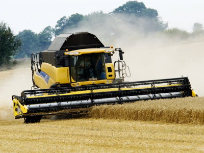 Yellow New Holland Combine Harvester Harvesting Wheat Field, UK
