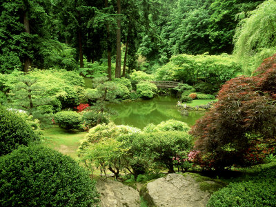 Pond Garden, Japanese Garden Portland USA