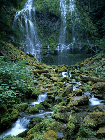 Waterfalls and Streams in the Forest